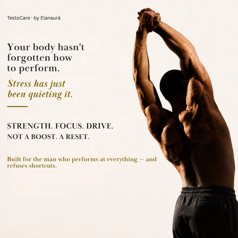 TestoCare: Unleash Your True Potential
