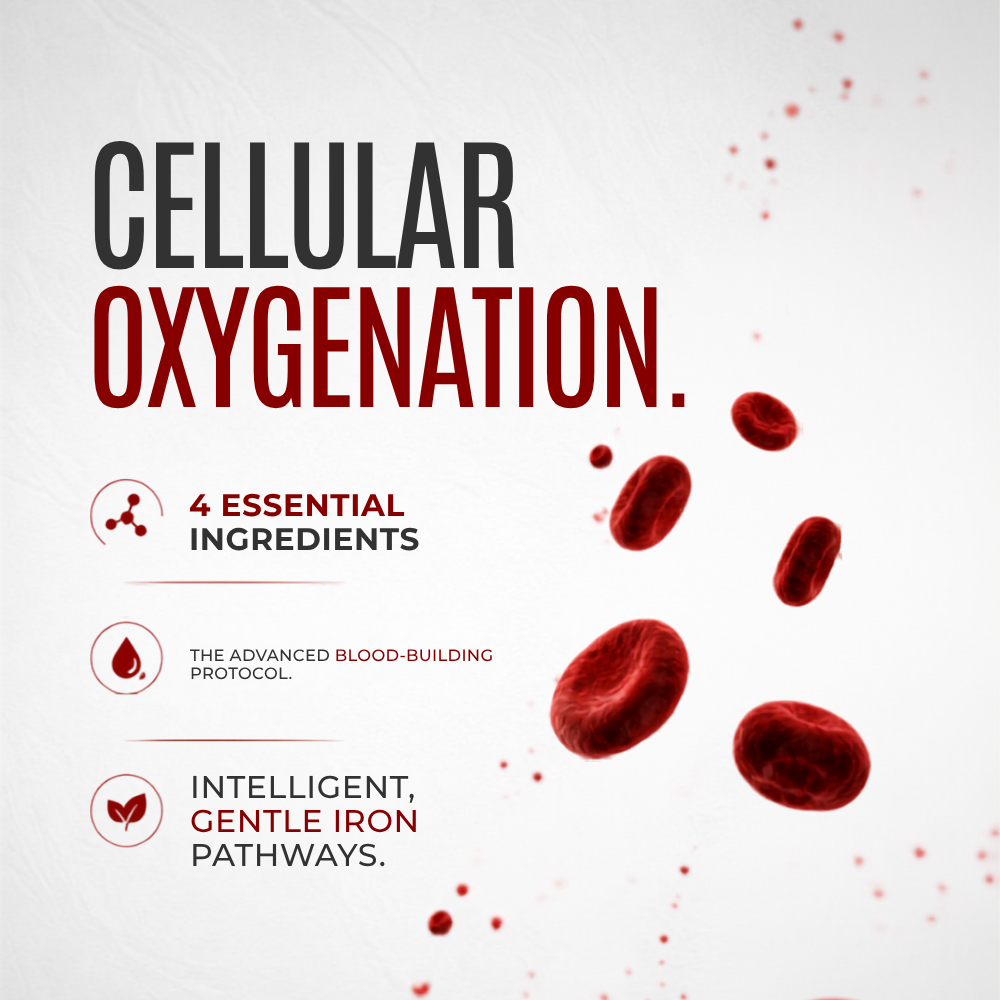 Blood Enhancer: Power Up Your Vitality