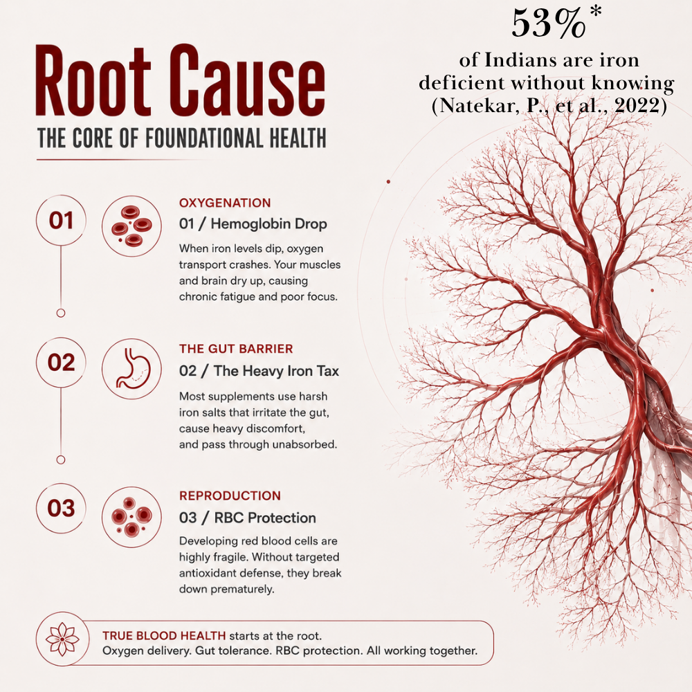 Blood Enhancer: Power Up Your Vitality