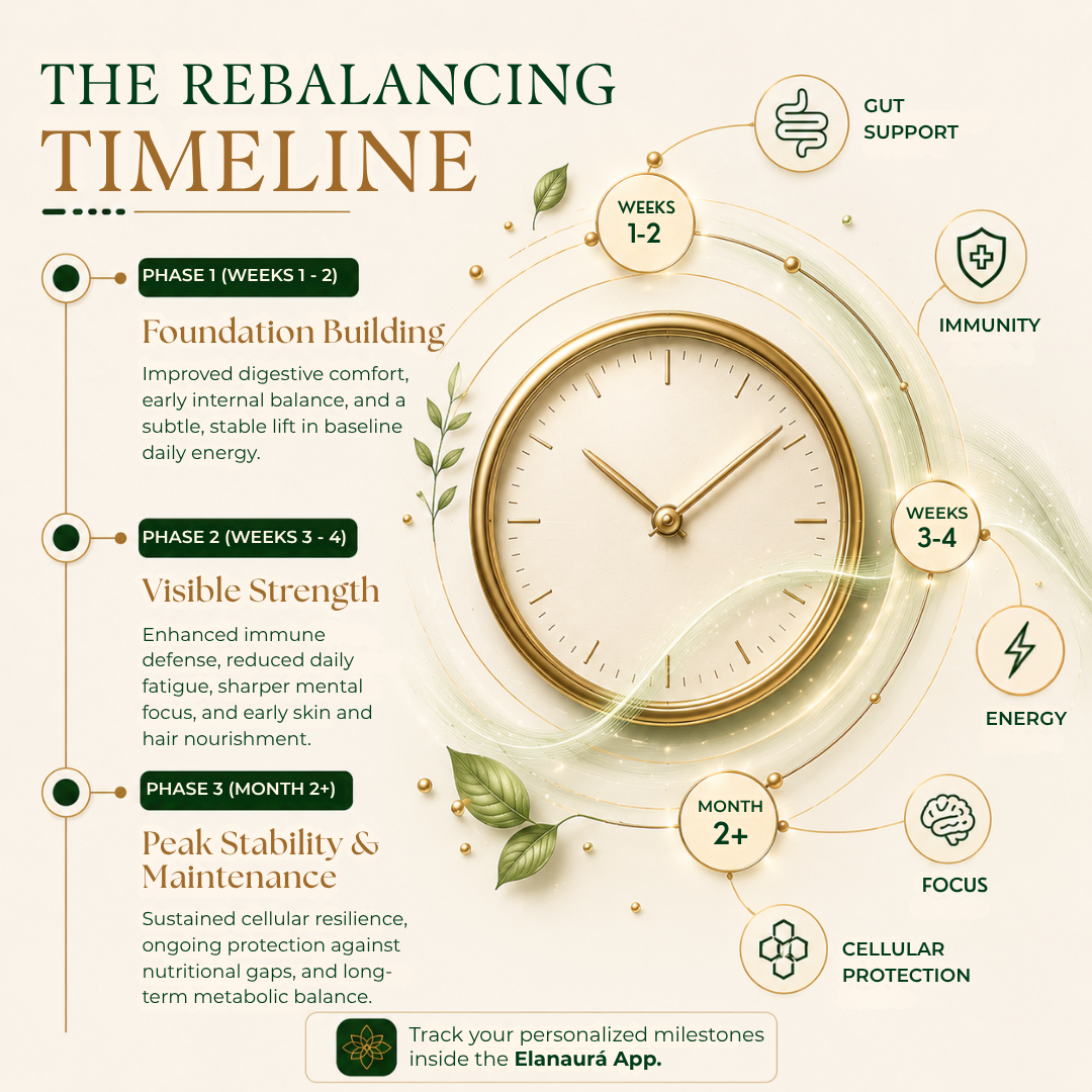 Basic Nutrient Profile: Complete Daily Wellness, Simplified